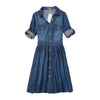 Elegant Spring Slim Cowboy Casual Plus Size Denim Dress